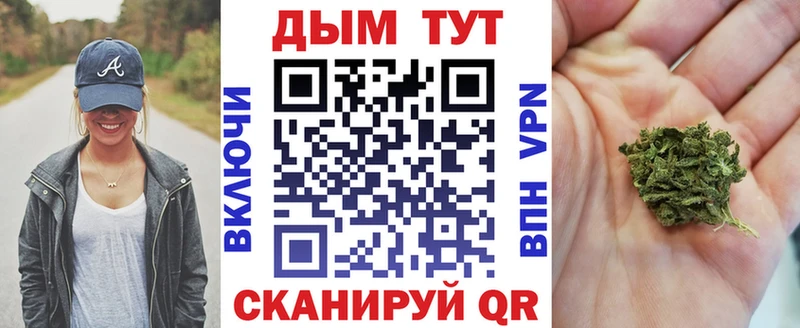 Конопля гибрид  хочу наркоту  Зея 